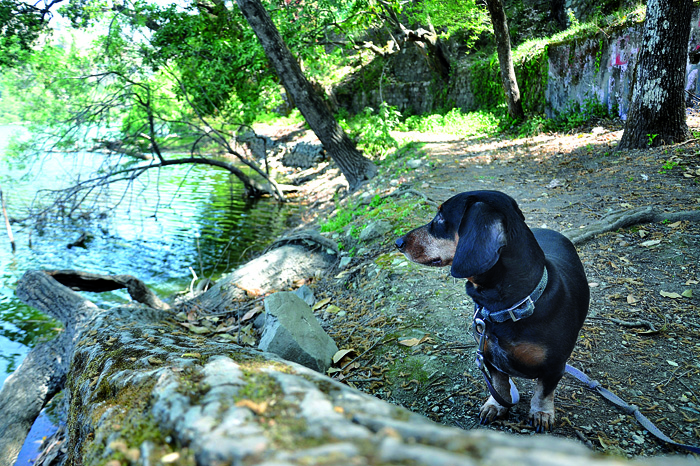 Discover India: NAUKUCHIATAL   - Image 1
